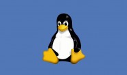 迁移Linux目录到新分区